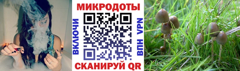 Псилоцибиновые грибы MAGIC MUSHROOMS hydra сайт Льгов